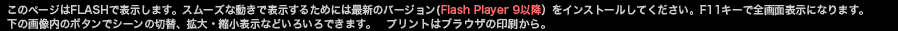 Flash Playerの注意書き