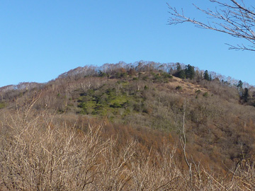南側から見上げたハマイバ丸
