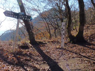 南側から見上げたハマイバ丸