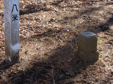 ハマイバ丸から富士山を