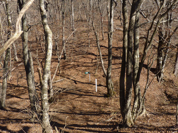 ハマイバ丸から富士山を