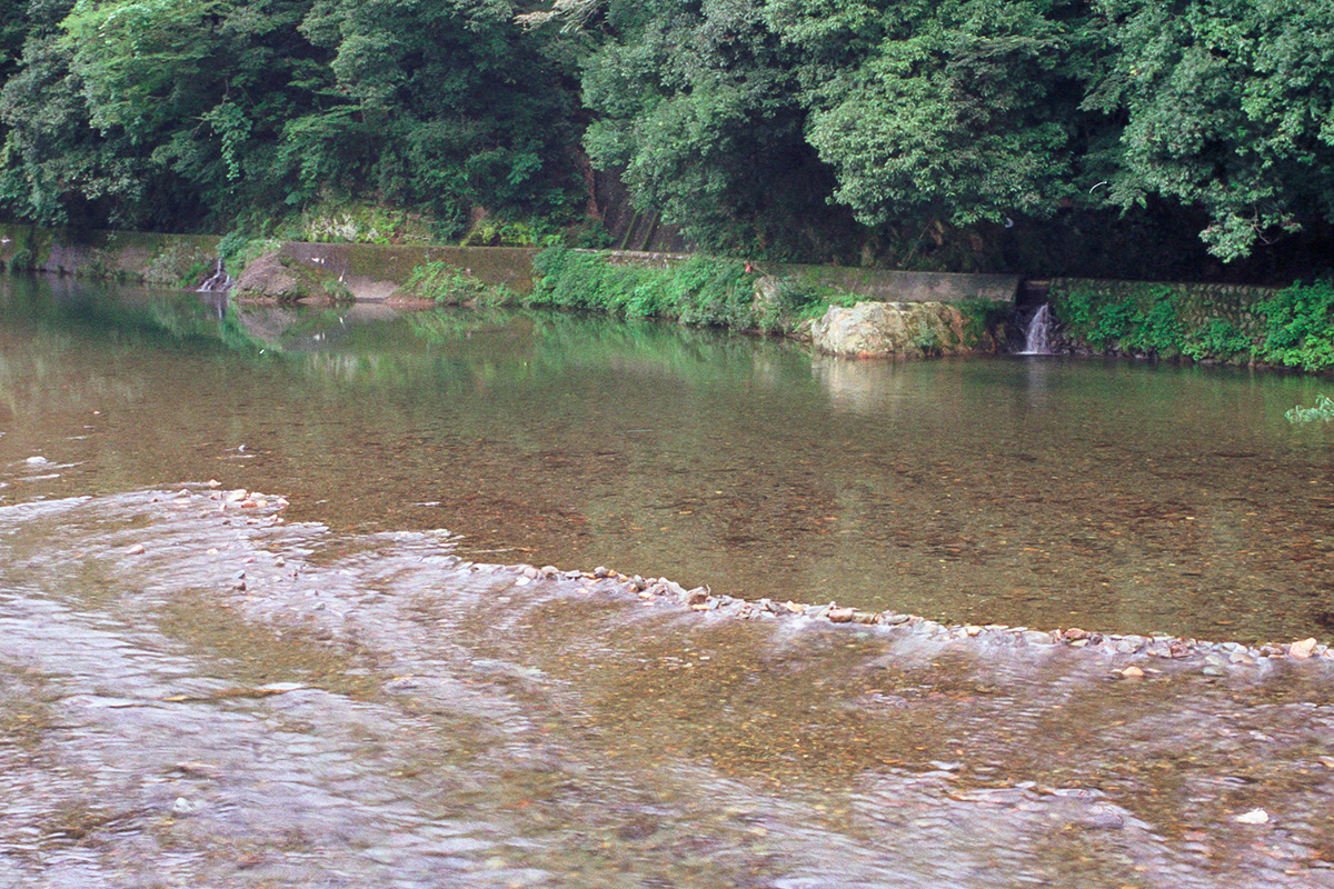 相川の流れ