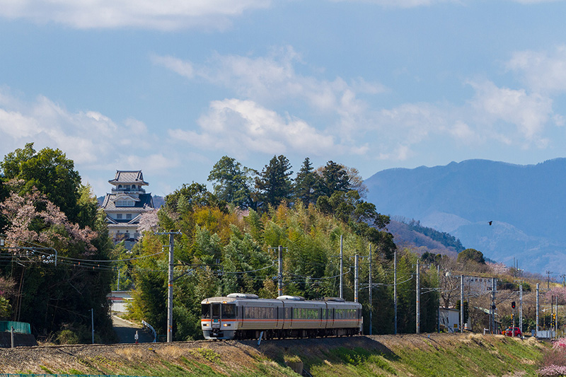 ワイドビューふじかわ１号