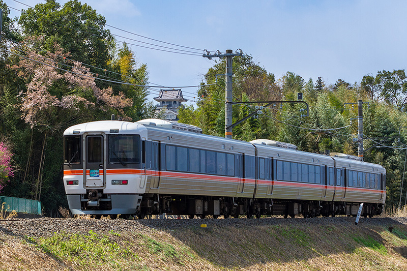 ワイドビューふじかわ６号