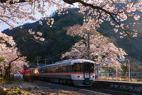 特急（ワイドビュー）ふじかわ２号