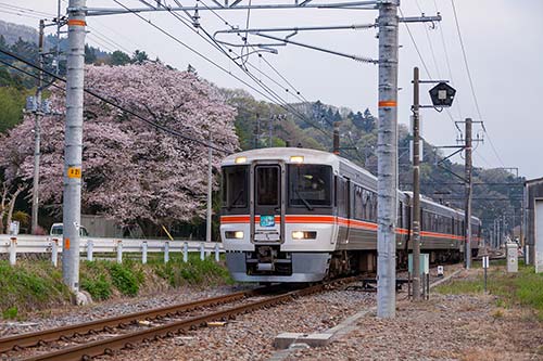 特急ワイドビュー ふじかわ