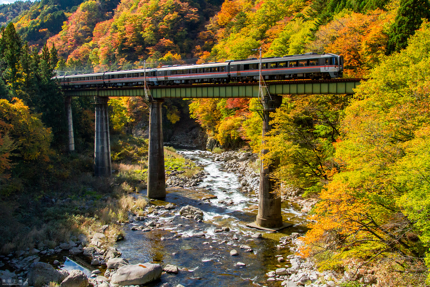 特急ワイドビューひだ５・25号