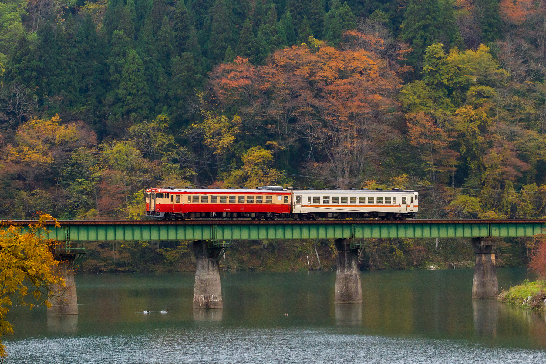 1824D　国鉄標準色風+JR東海色のキハ48