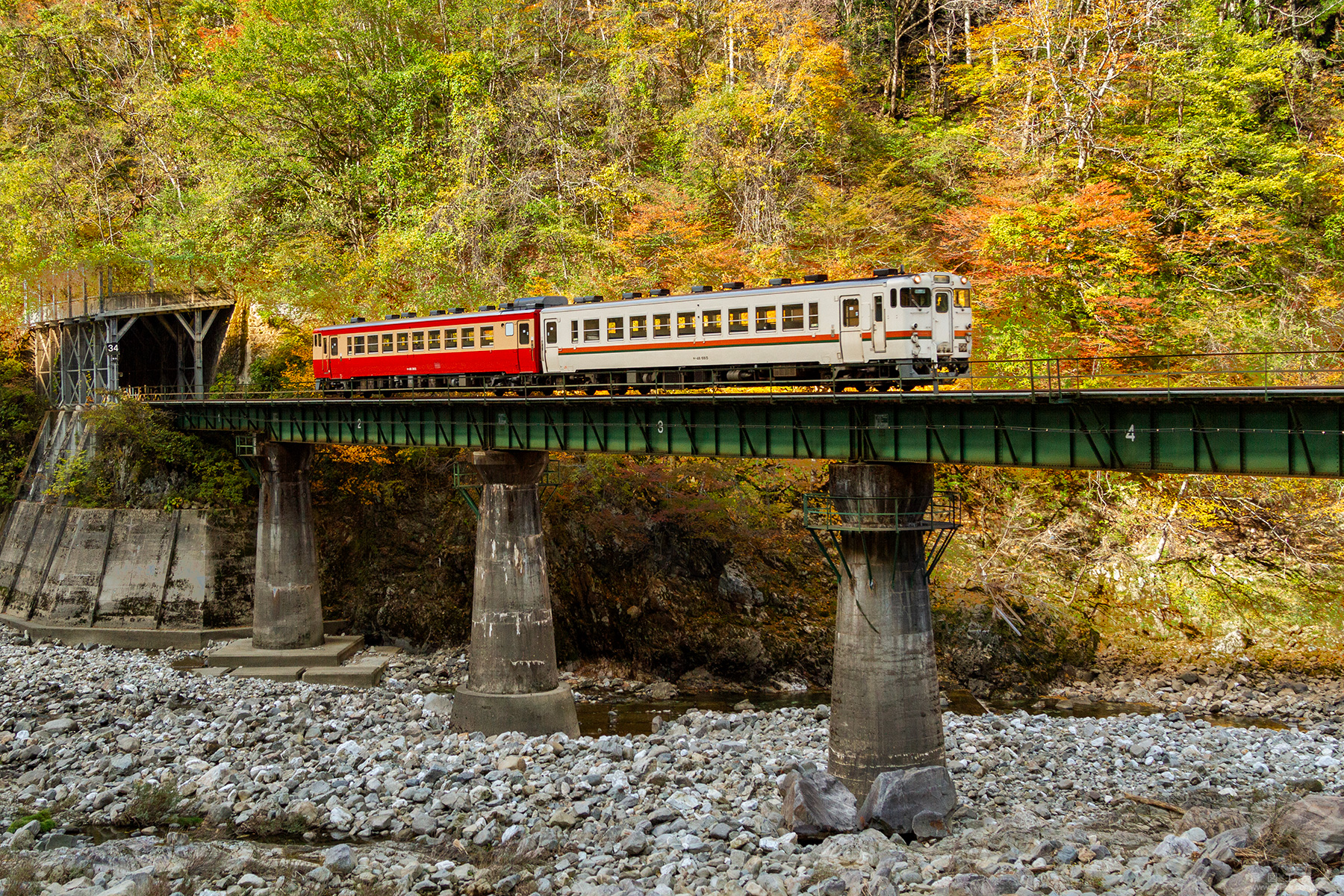 紅葉の第八宮川橋梁を行く